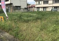 IMG-0336